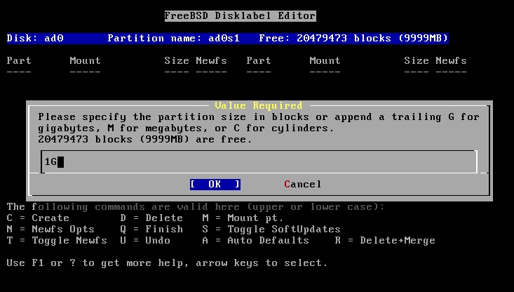 3_root-mount-point-step-1-size
